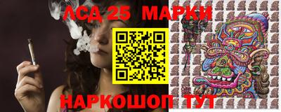 индика Можайск