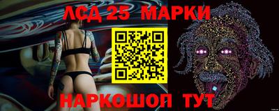 соль ск Моздок