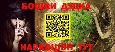 индика Можайск