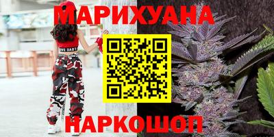 индика Можайск
