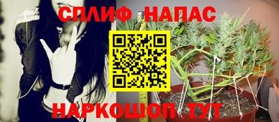 индика Можайск