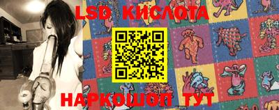 индика Можайск