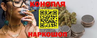 индика Можайск