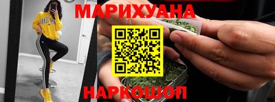индика Можайск