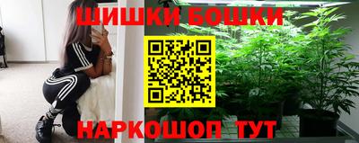 индика Можайск