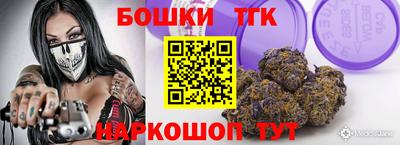 индика Можайск